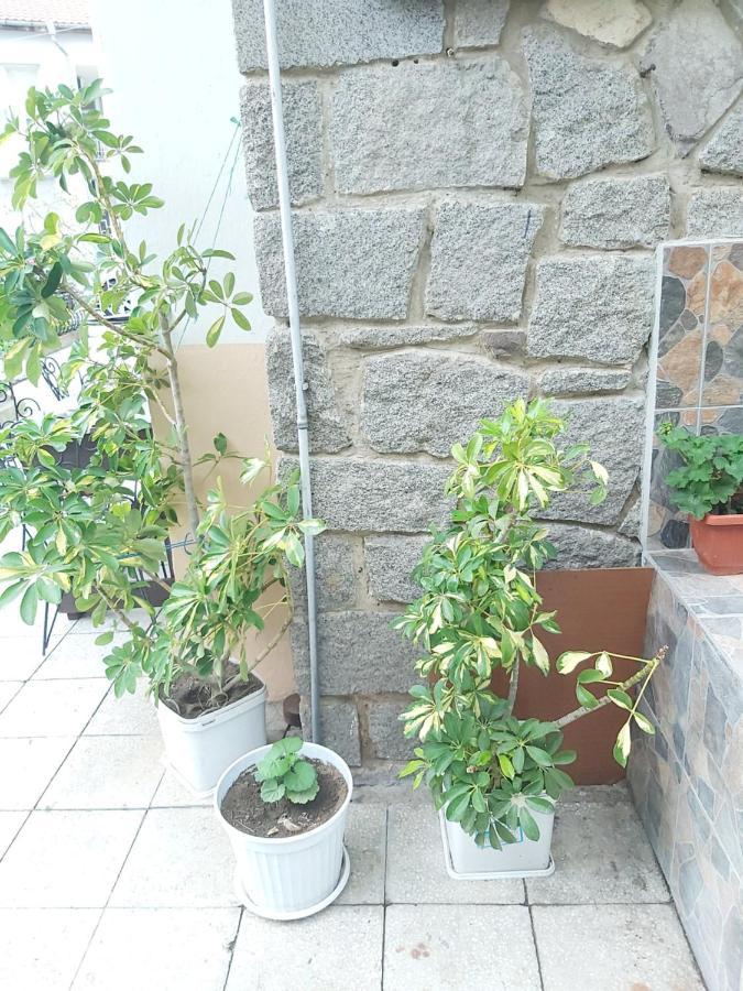 Kyshta Za Gosti Dari Rumi 1 Sozopol Exterior photo